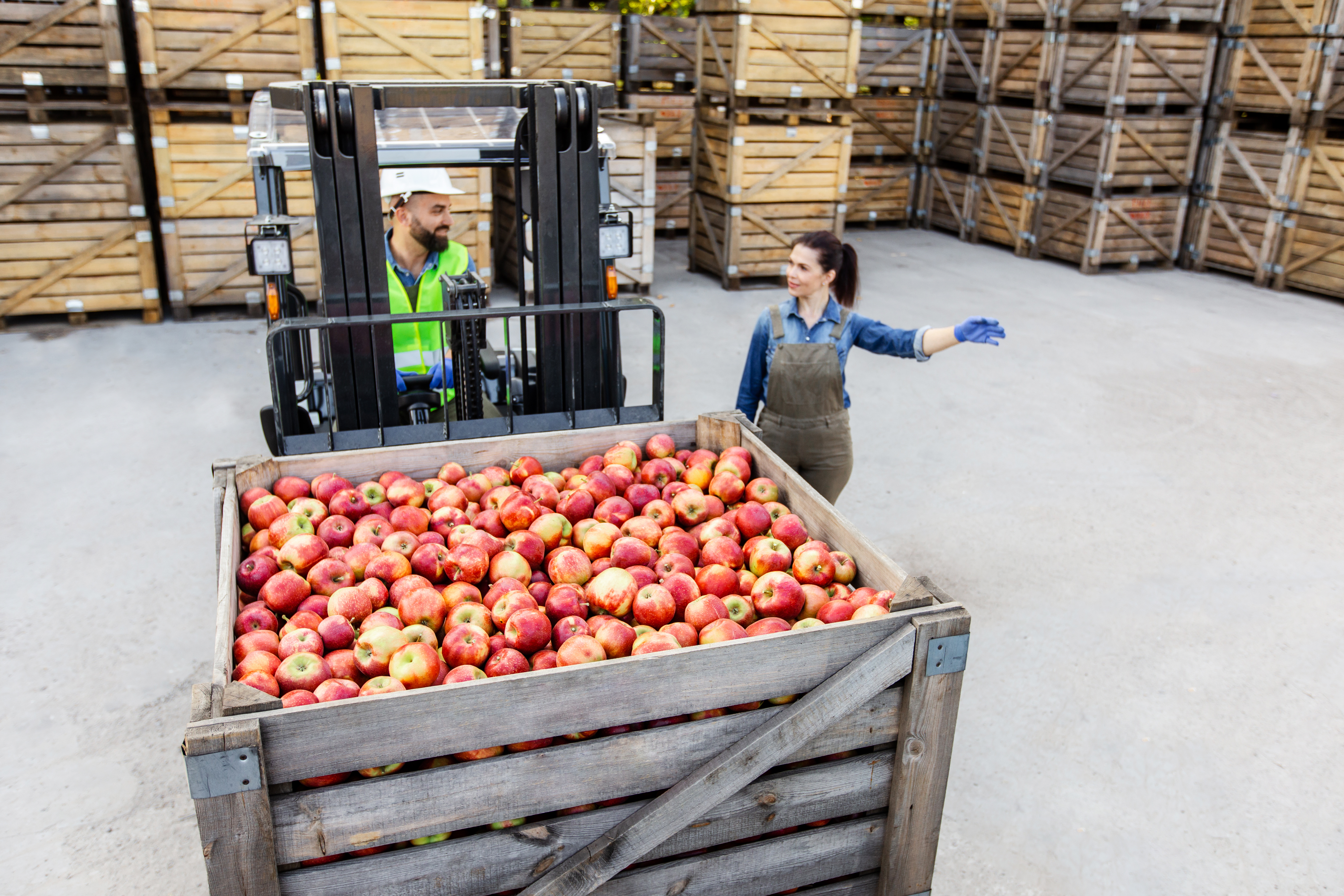 Food Processing